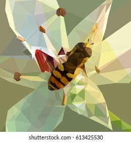 polygonal bee vector wallpaper herb pattern template glow spring crop colored modern creative. Realistic poly bee on white flower. Template beautiful wallpaper background poster brochure. High quality