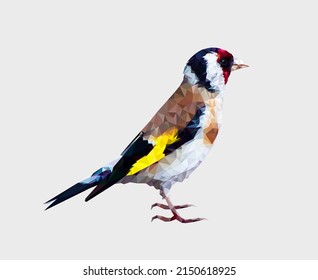 Polygonal bird. Low poly geometric vector illustration.
