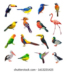 Polygonal birds. Geometrical stylized animals set flying colored birds low poly vector set
