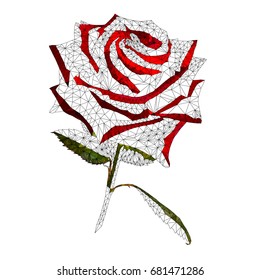 Polygonal black lines. Grid outline for drawing a red rose with green leaves.  Vector  design.  Geometric  triangular modern illustration.