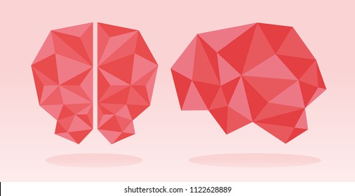 Polygonal brain from side and front view. 