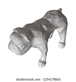 Polygonal Bulldog 3D. Isometric view. Vector illustration.