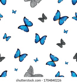 polygonal butterflies on a white background, vector background
