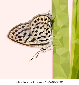 Polygonal butterfly on white background. Low poly butterfly Butterfly landing on to the grass. concept of freedom and happiness. vector illustration design.