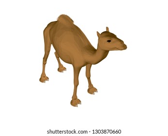 Polygonal camel. Isometric view. Realistic brown camel. 3D Vector illustration.