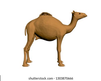Polygonal camel. Side view. Realistic brown camel. 3D. Vector illustration.