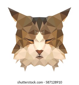 polygonal cat face, geometric polygon animal, isolated vector
