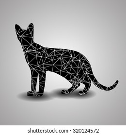 Polygonal cats