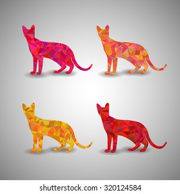 Polygonal cats