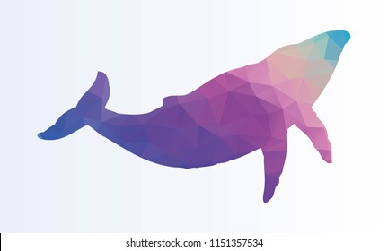 Polygonal colorful Whale