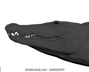 Polygonal crocodile head. 3D Isolated crocodile head. Vector illustration