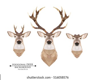 polygonal deer with horns and doe without horns on a white background. Vector brown image, detailed illustration isolated. Forest theme picture. Web design, page icon, poster, banner, print element.