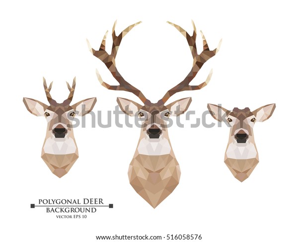 Polygonal Deer Horns Doe Without Horns Stock Vector Royalty Free