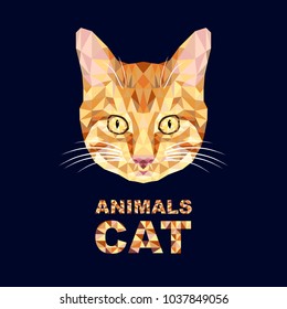 Polygonal design. Vector illustration of a red cat