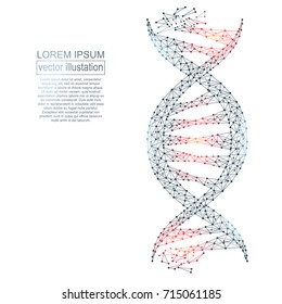 Polygonal DNA abstract image, isolated on white background. Vector closeup of concept human genome illustration. Low poly wireframe, geometry triangle, lines, dots, polygons, shapes