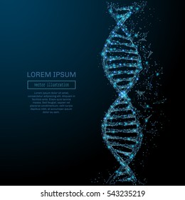 Polygonal DNA concept. Vector mesh spheres from flying debris. Thin line concept. Blue structure style illustration - Shutterstock ID 543235219