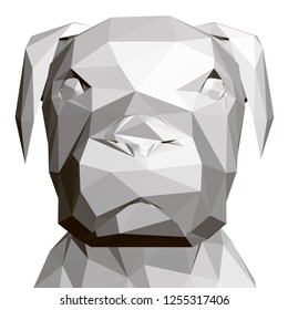 Polygonal dog head. 3D Front view. Geometric dog head. Vector illustration.