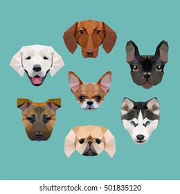 polygonal dogs collection (husky, staffordshire terrier, pekingese, french bulldog, dachshund, labrador, chihuahua)