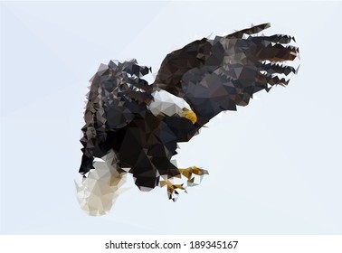 Polygonal Eagle