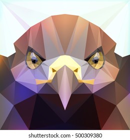 Polygonal eagle head 