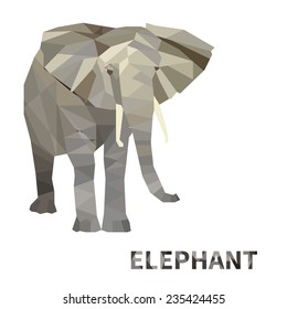Polygonal elephant. Isolated on white background. Vector illustration