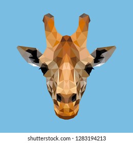 Polygonal face of giraffe