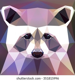 polygonal face of a raccoon