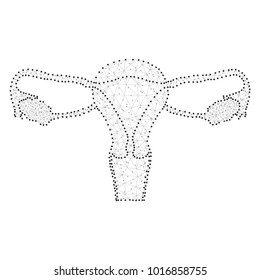 Polygonal female reproductive system. Screening, examination for cervical cancer, low poly design. Polygon uterus with ovary, cervix, fallopian tubes, isolated. Checkup of womb, wireframe technology
