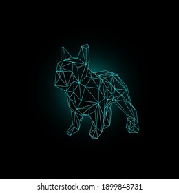 Polygonal figure of a French bulldog with blue neon lighting on a black background. Vector illustration.