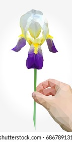 Polygonal flower iris in hand gift