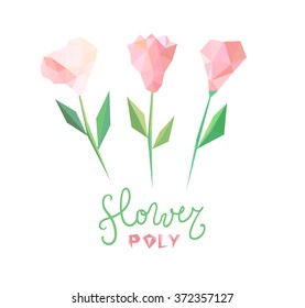 Polygonal flower set. Tree different triangle flower with leaves.