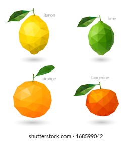 Polygonal fruit - citrus. Vector illustration