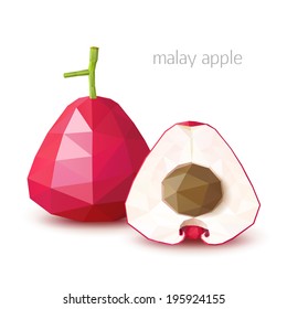 Polygonal fruit - malay apple. Vector illustration
