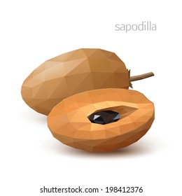 Frutos poligonales - sapodilla. Ilustración del vector