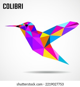 Colibri de ave geométrica poligonal, colibrí colorido. Ilustración del vector