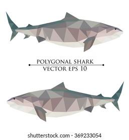 polygonal geometric low poly vector big shark vector illustration
