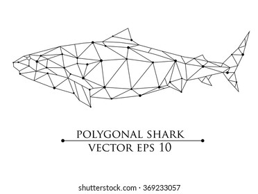 polygonal geometric low poly vector big shark vector illustration