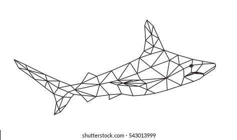 polygonal geometric low poly vector shark vector illustration