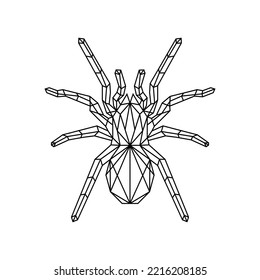 Ilustración vectorial del logotipo de araña geométrica poligonal