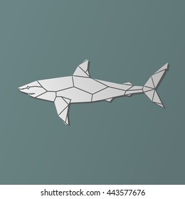 Polygonal geometric vector grey shark vector illustration.