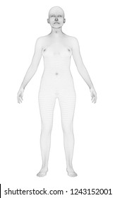 Polygonal girl stands with her arms spread. Mesh cover. Front view. Vector illustration.