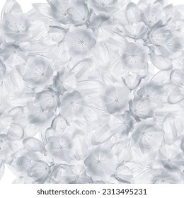 Grasa poligonal con hierbas y flores silvestres. Vector aislado de alambre de prado floral. Poli de borde horizontal Flores y hierbas aisladas sobre fondo blanco. Flores dibujadas a mano e insectos.