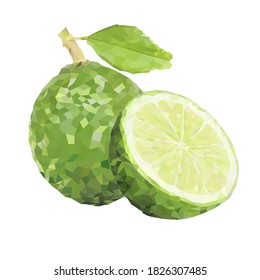 polygonal  half lemon lime. a slice half of lime in a low poly for a menu, a banner. Stock vector illustration