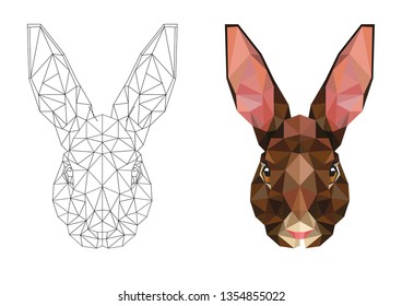 polygonal head of brown rabbit