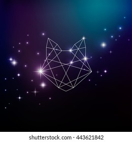 Polygonal head of a cat on a background of the starry night sky