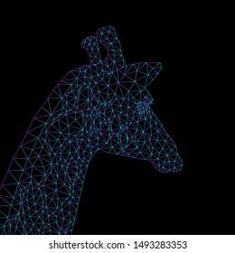 Polygonal head of a giraffe. Colored lines with a gradient from blue to purple, on a black background. Structure.
