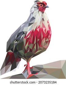 Polygonal Hen Farm Animal. Editable Clip Art.