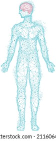 Polygonal human body with highlighted brain. Brain disease, headache, migraine treatment. Medical research of internal organs, innovative approach concept. Organ of human central nervous system