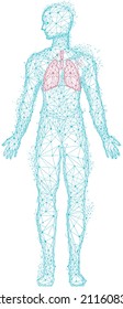 Polygonal human body with red lungs. Treatment of diseases, bronchitis, pneumonia diagnostics. Medical research of internal organ, innovative approach concept. Organ of human respiratory system