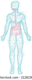 Polygonal human body with red stomach and intestines. Treatment of diseases of gastrointestinal tract. Medical research of internal organ, innovative approach concept. Organ of human digestive system